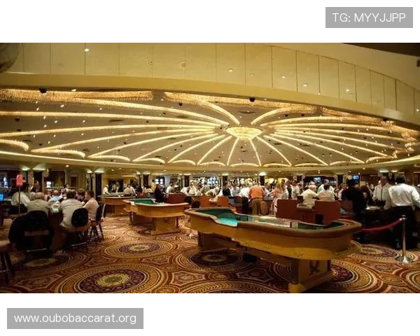 网赌百家乐的法律风险与合法合规运营的重要性深度解析